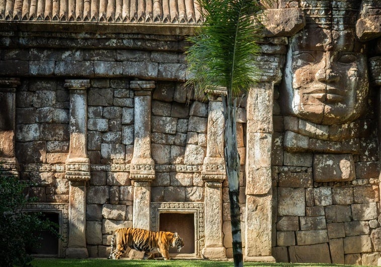Step into the tropical jungle of BIOPARC Fuengirola, an unique experience on the Costa del Sol